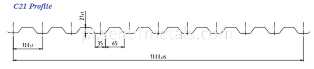 C21 Profile